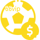 Aposte em esportes do mundo todo no 66vip!